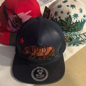 Top Level Snapback Hat with Bear Patch